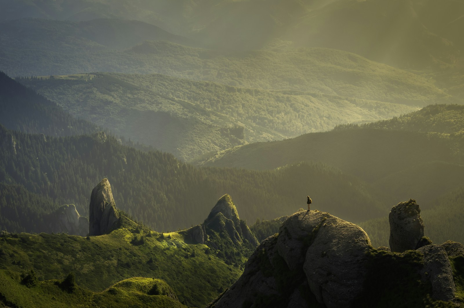 Sainina Hill — rising with purpose across the hills